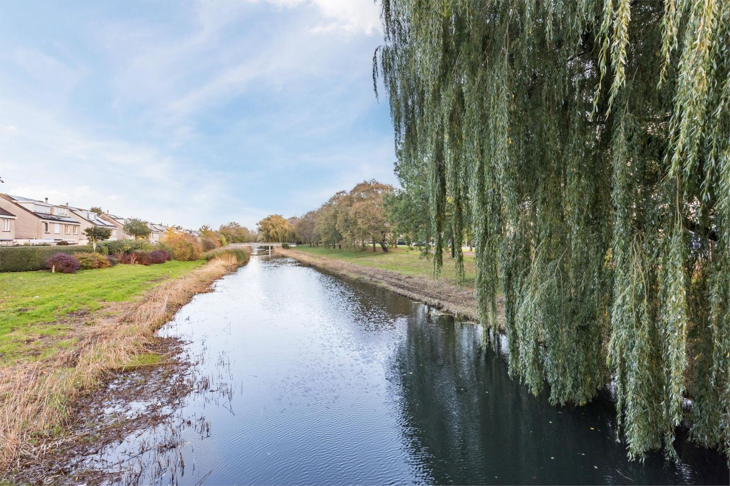 Foto 34 van Lelietje-van-Dalenstraat 2