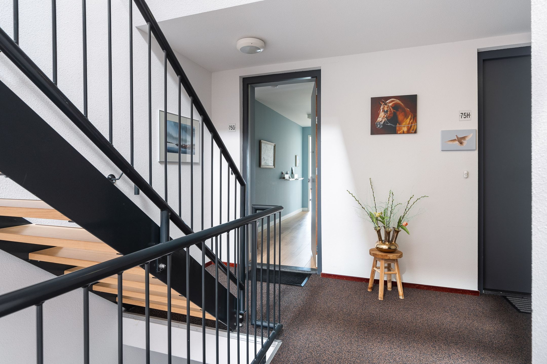 Foto 21 van Noard 75-G