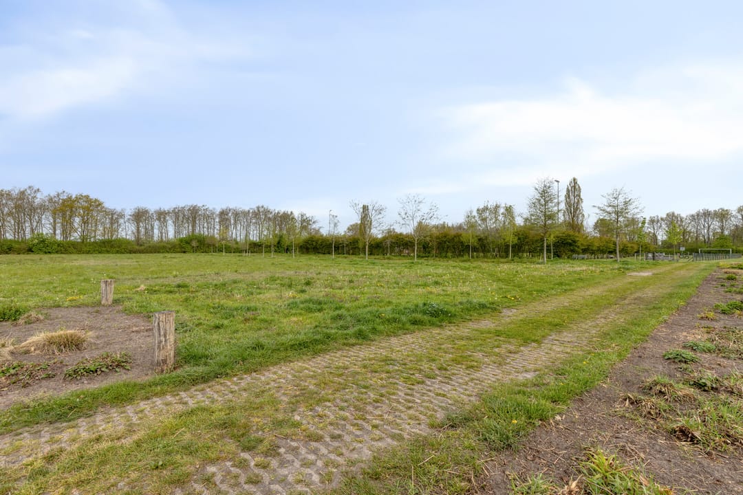 Foto 41 van Veenbos 14