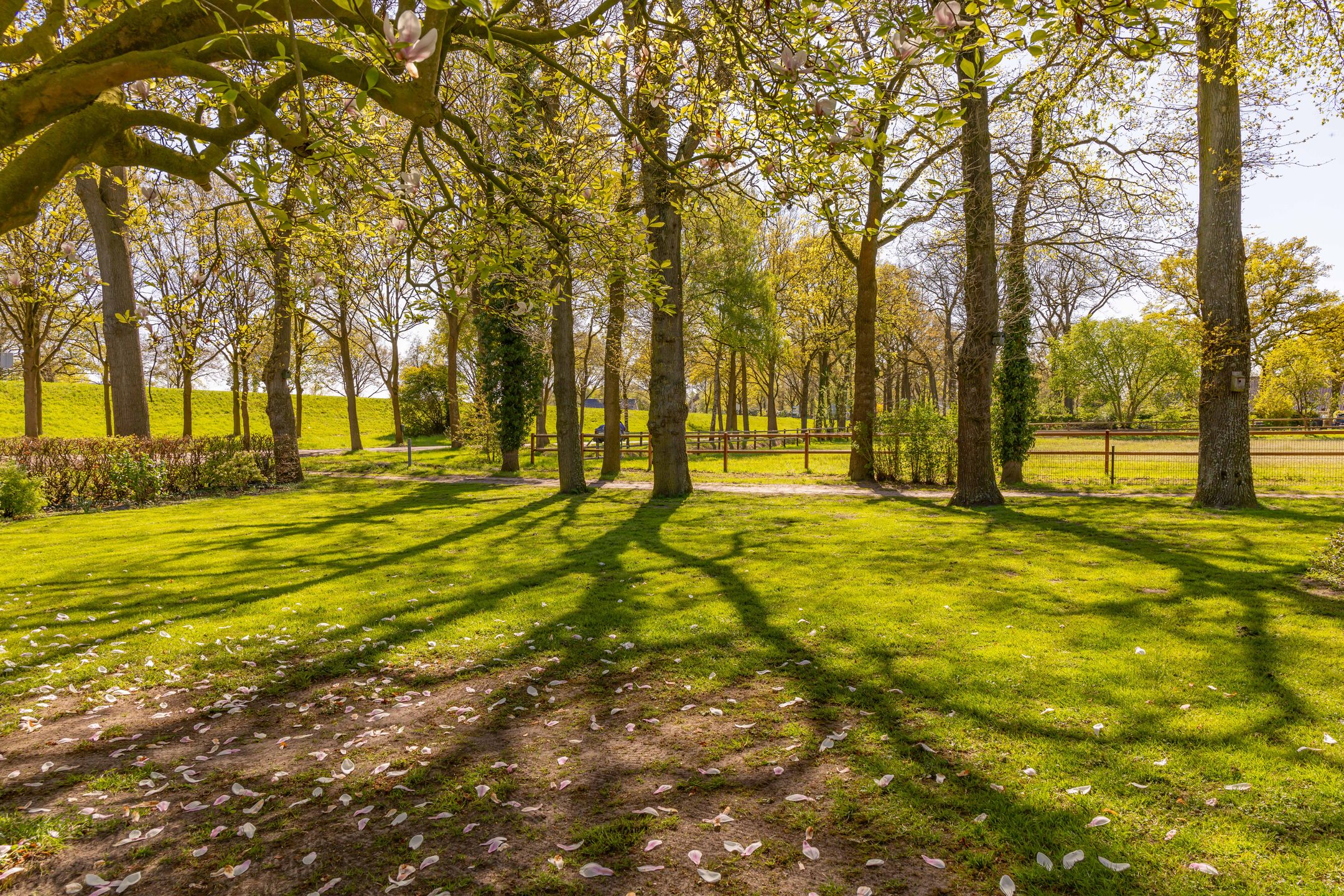 Foto 75 van Fluitenbergseweg 22