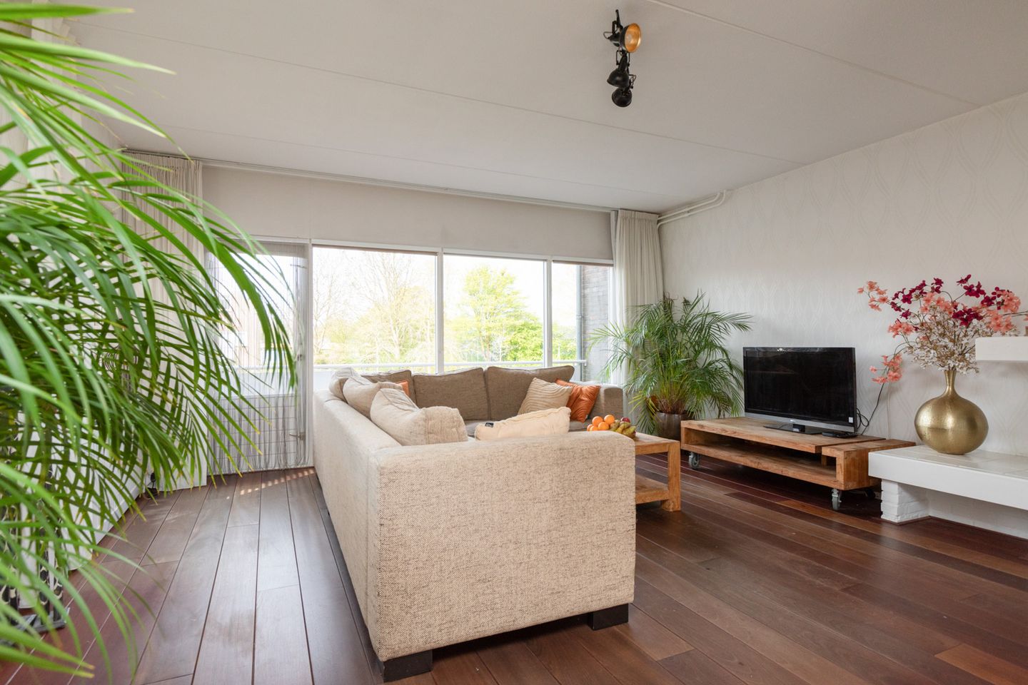 Foto 4 van Molenkrite 145