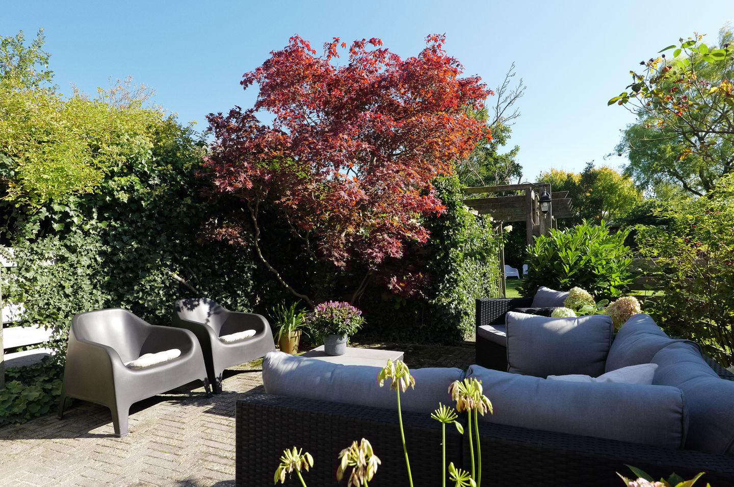 Photo 50 of Gedempte Vaart 39