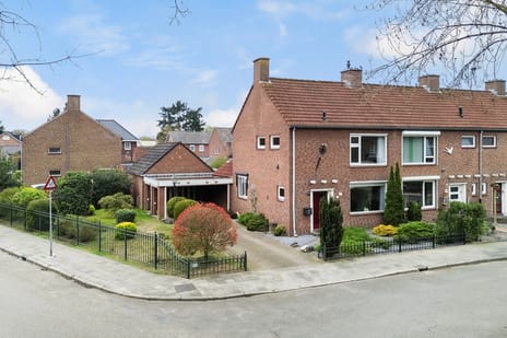 undefined main image