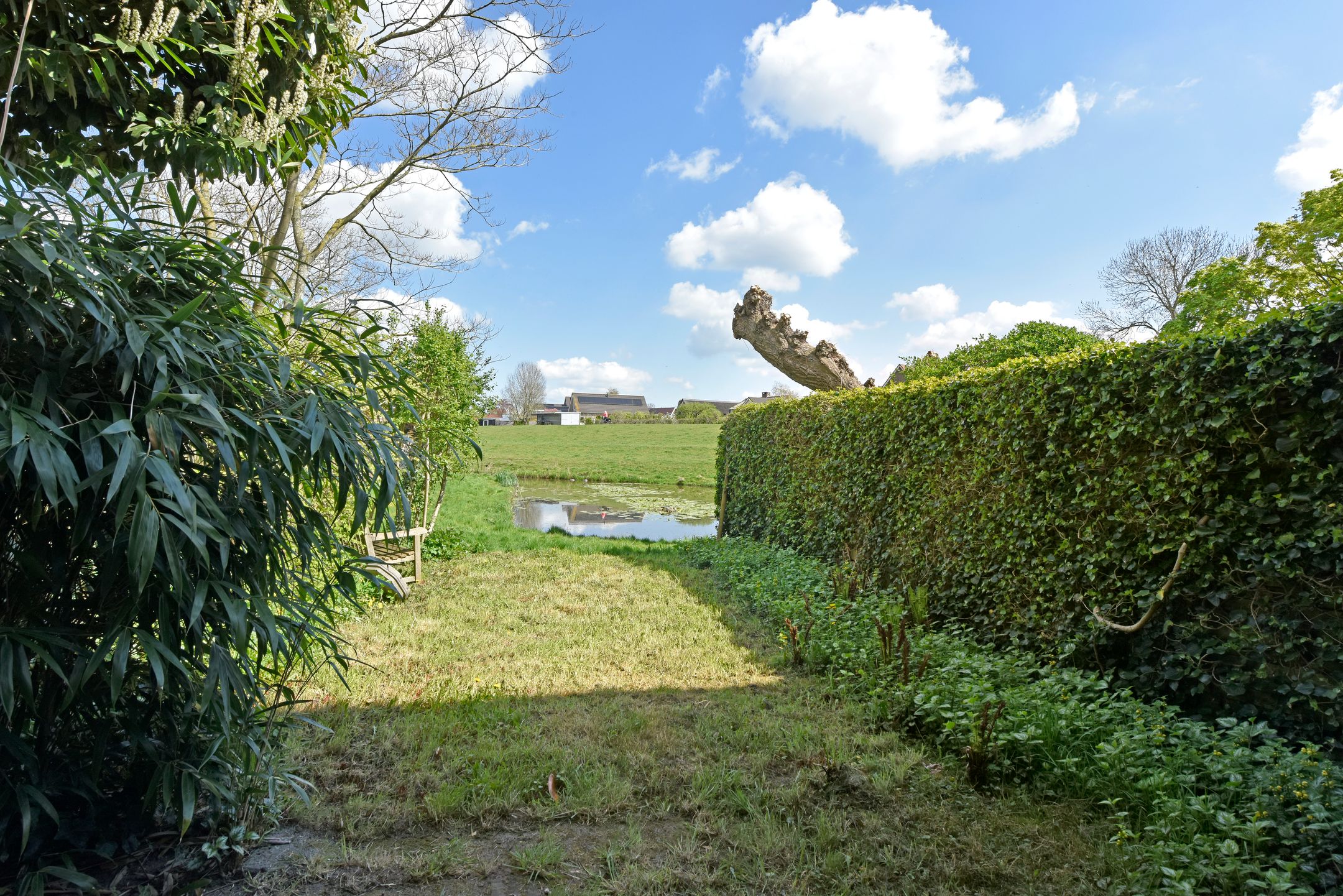 Foto 24 van Chopinplein 1