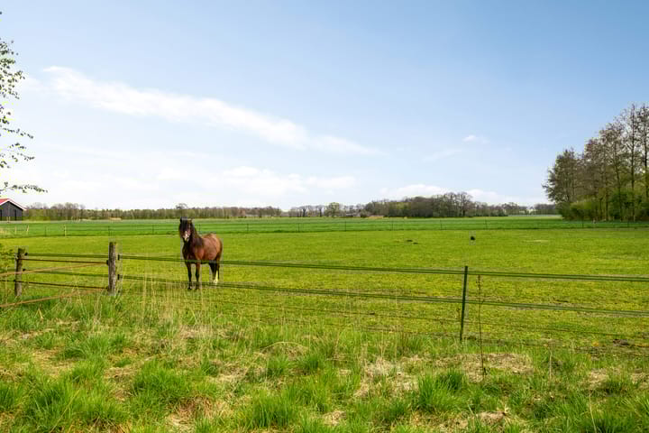 Foto 2 van Gorsveldweg 30