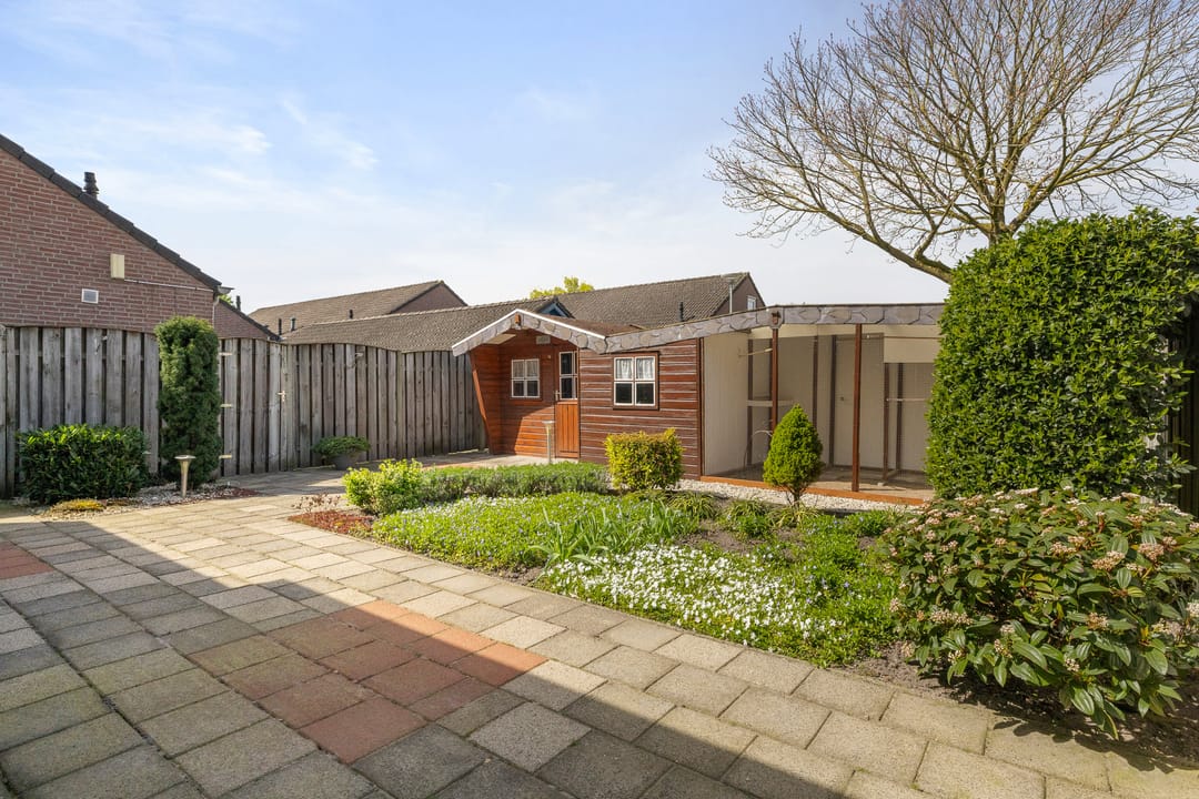 Foto 31 van Zonnedauw 11