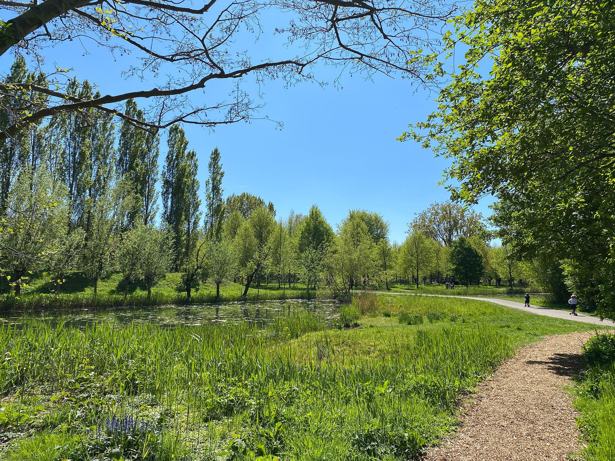 Photo 42 of Stuivingastraat 33