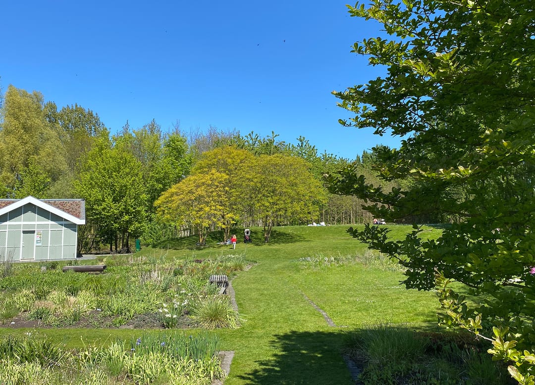 Photo 43 of Stuivingastraat 33