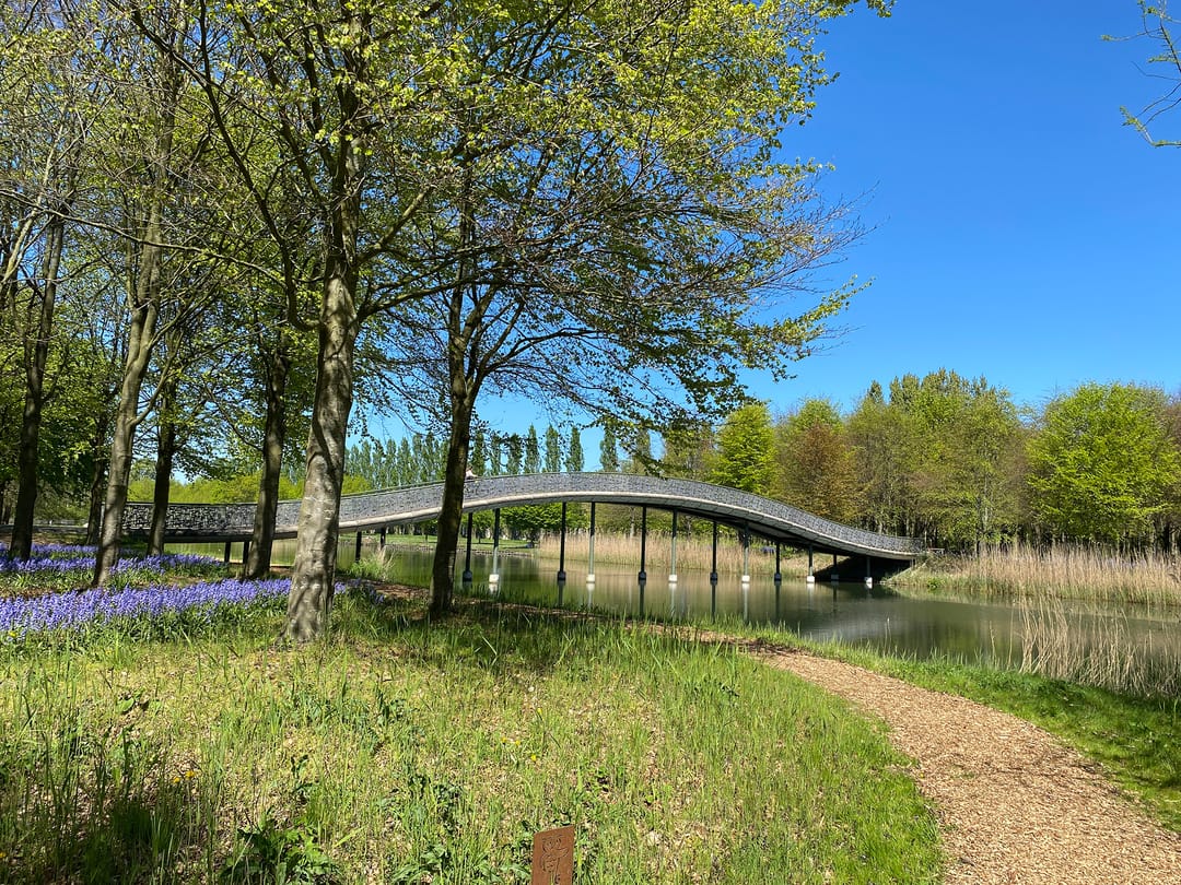 Photo 41 of Stuivingastraat 33