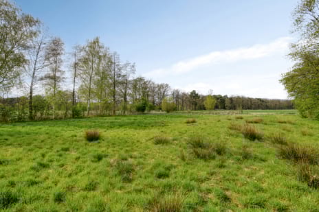 Foto 5 van Kavel Gorsveldweg Bentelo