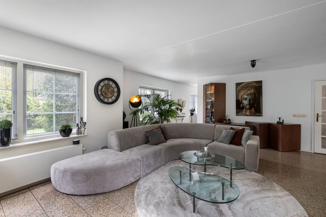 Foto 7 van Van Driellaan 11