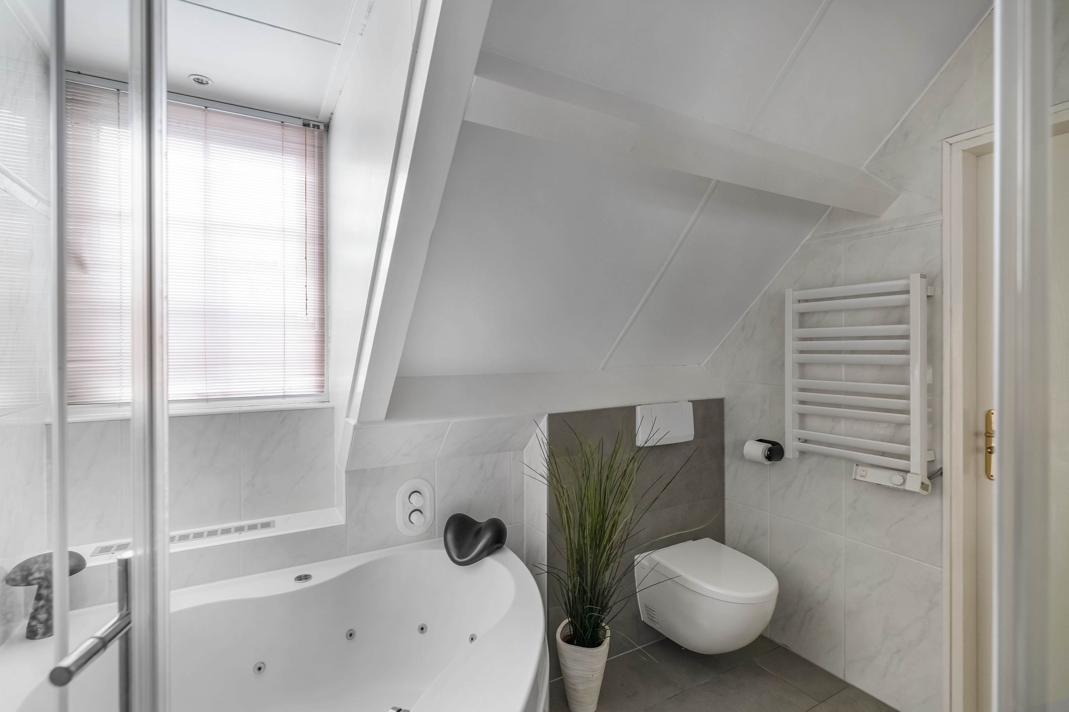 Foto 24 van Van Driellaan 11