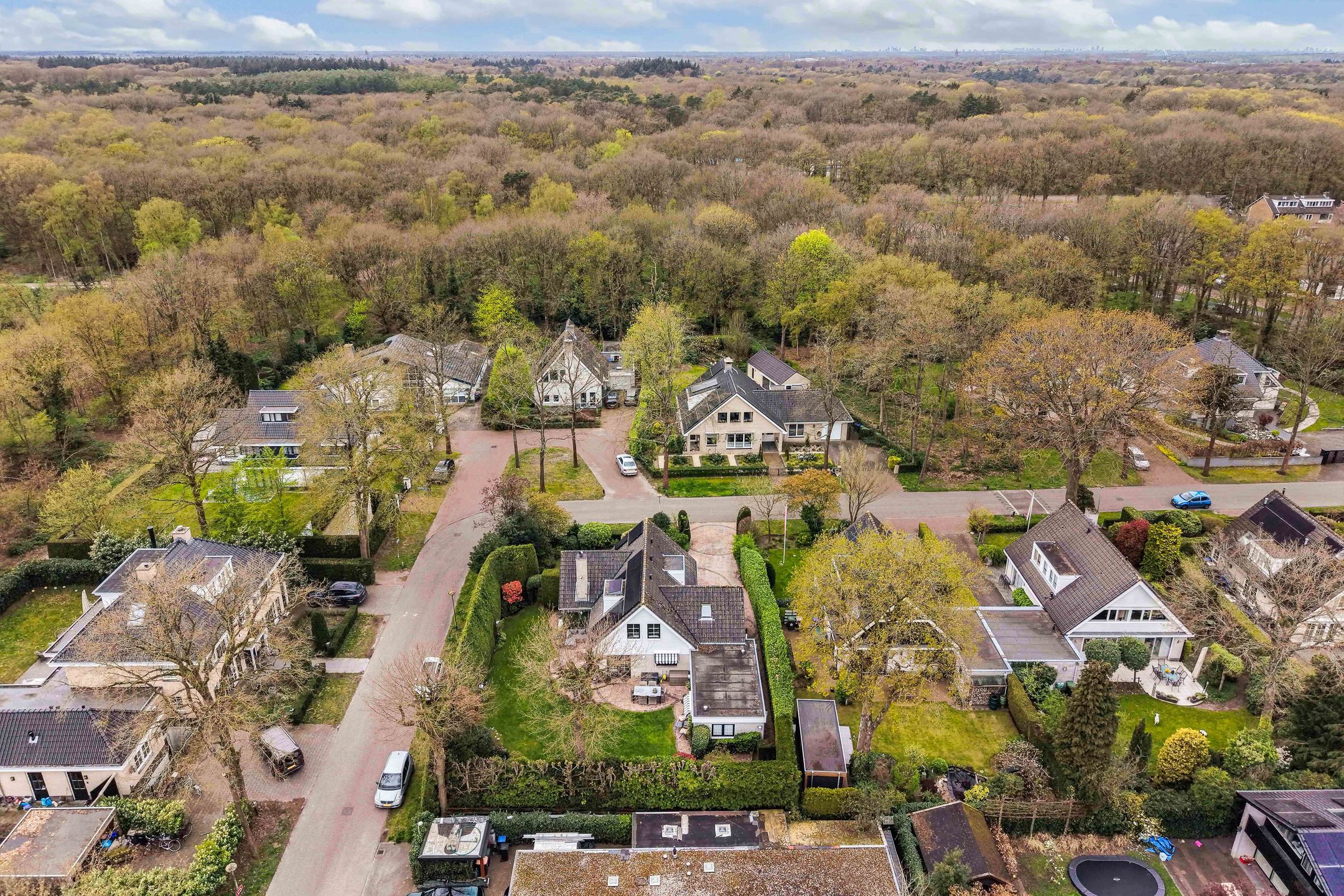 Foto 42 van Van Driellaan 11