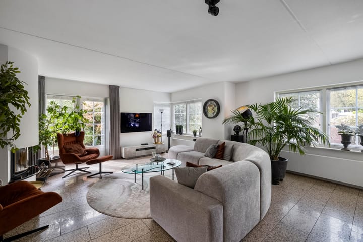 Foto 4 van Van Driellaan 11