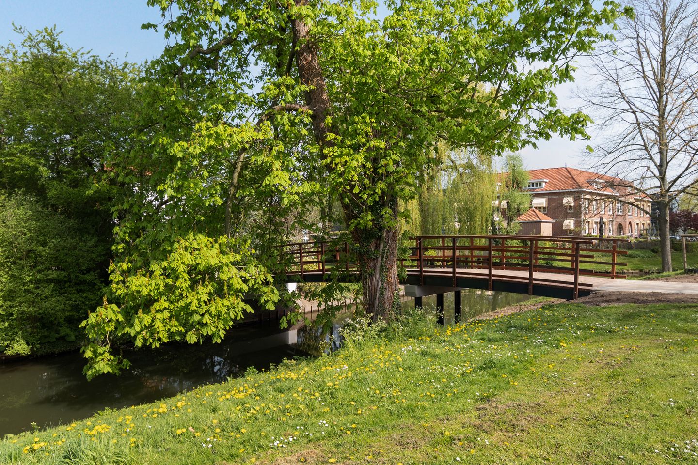 Foto 50 van Kronenburgplantsoen 12-L