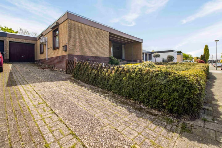 Foto 5 van Driessenstraat 3