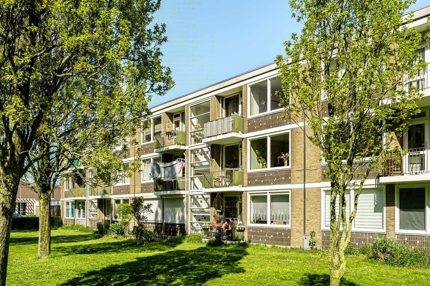 Foto 5 van Roemeniëpad 24