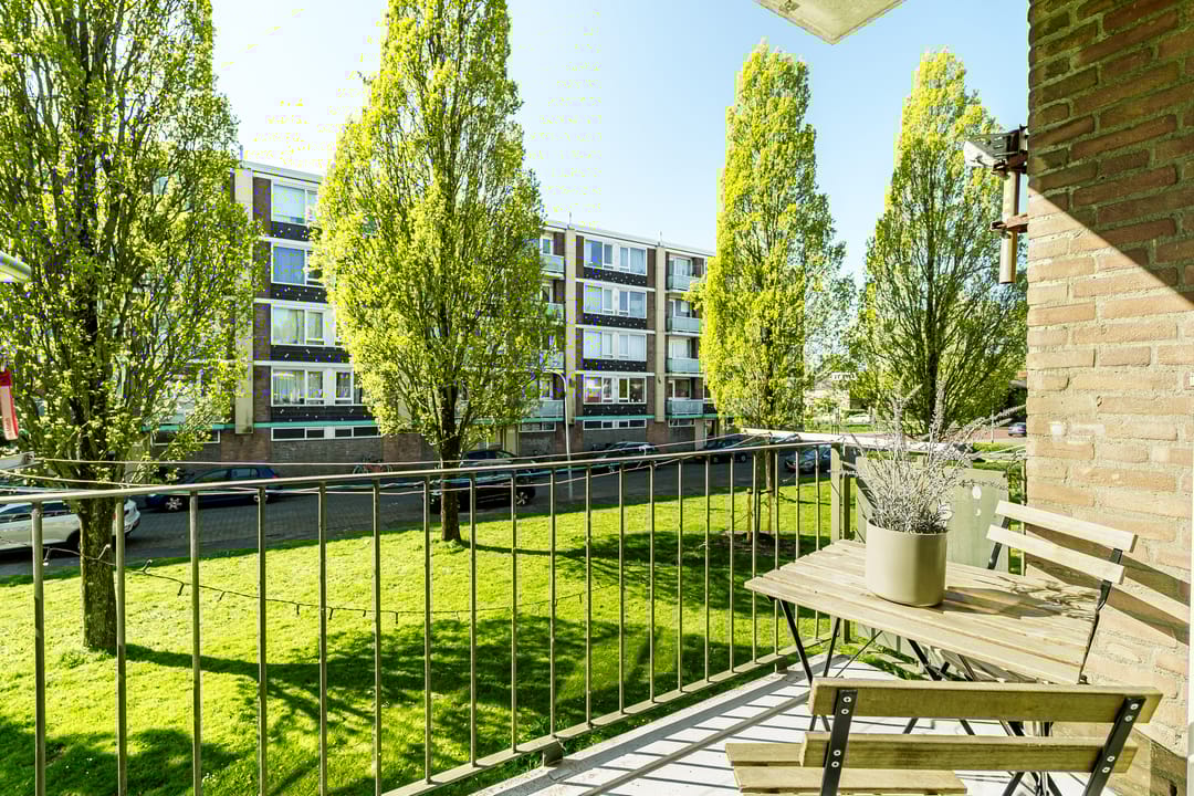 Foto 13 van Roemeniëpad 24