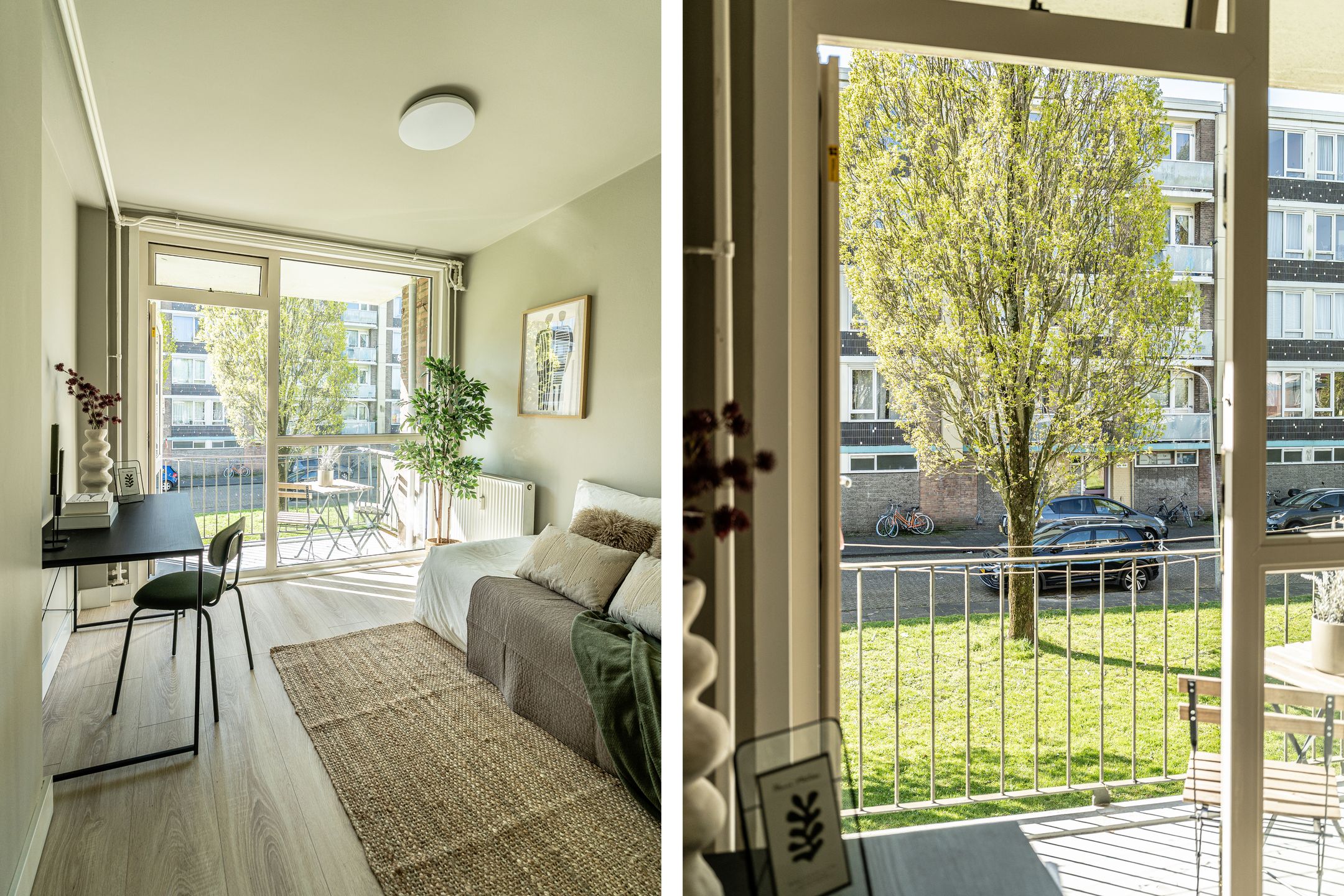 Foto 12 van Roemeniëpad 24