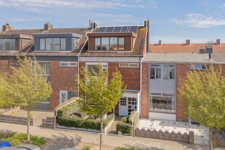 undefined main image