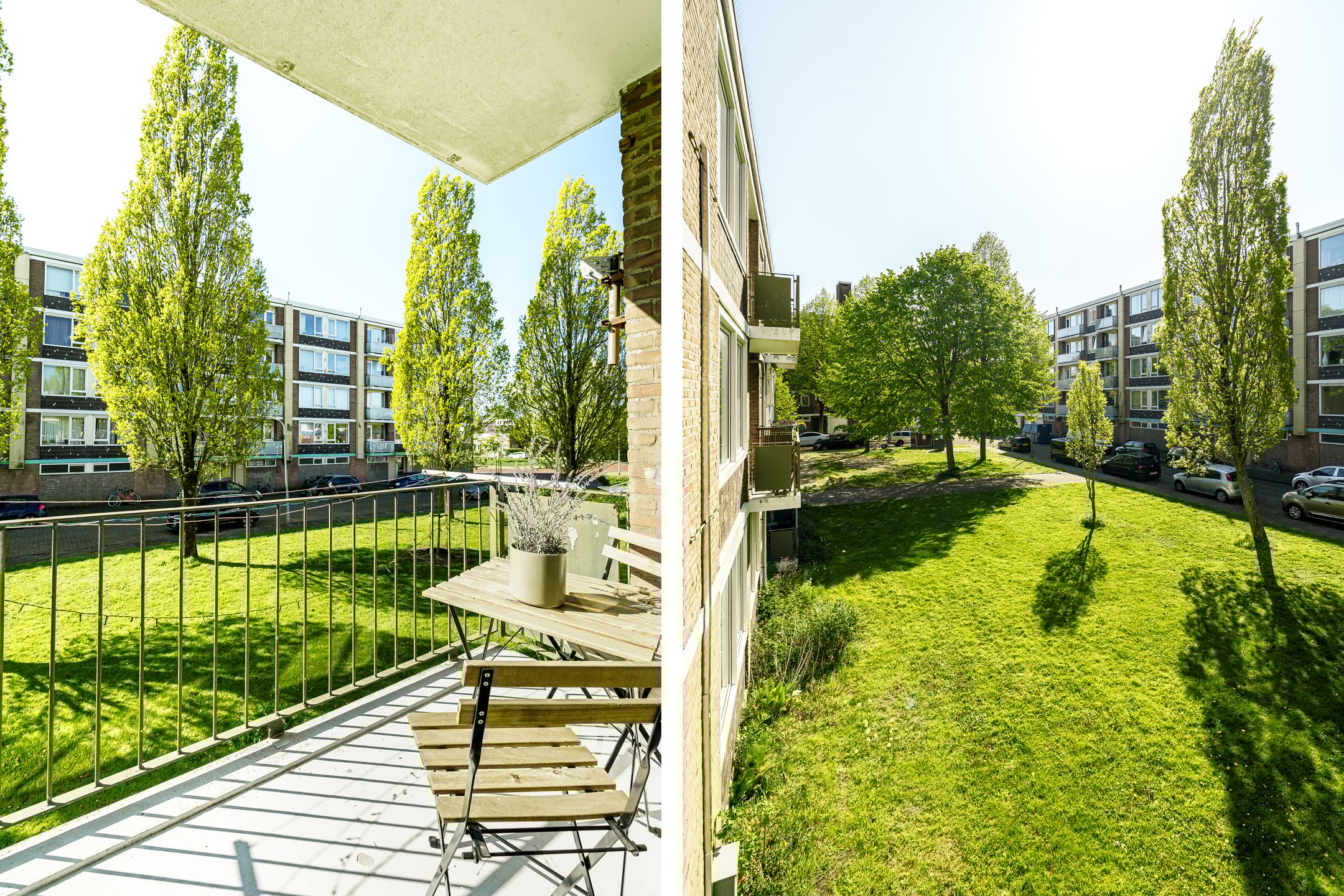 Foto 3 van Roemeniëpad 24