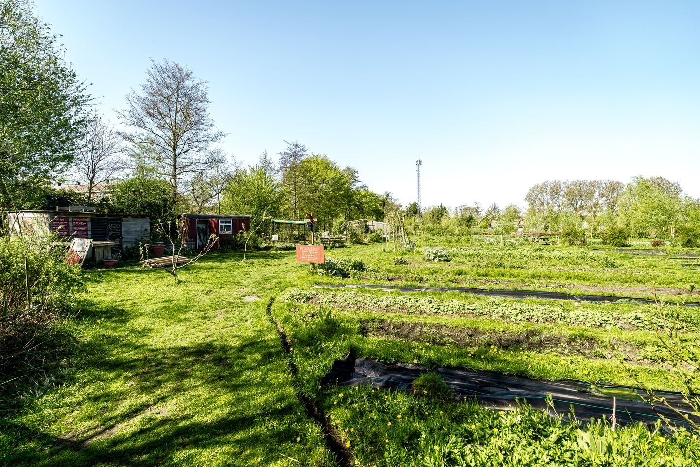 Foto 29 van Roemeniëpad 24