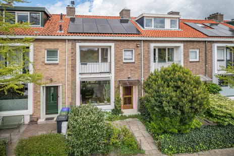 Spinbollaan thumbnail