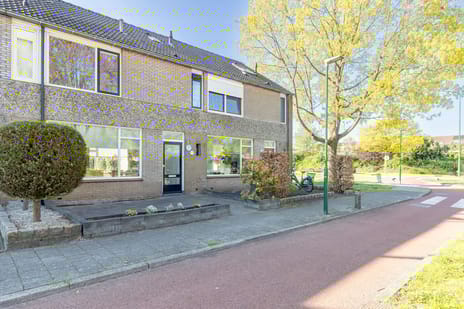 Blauwe Reiger thumbnail