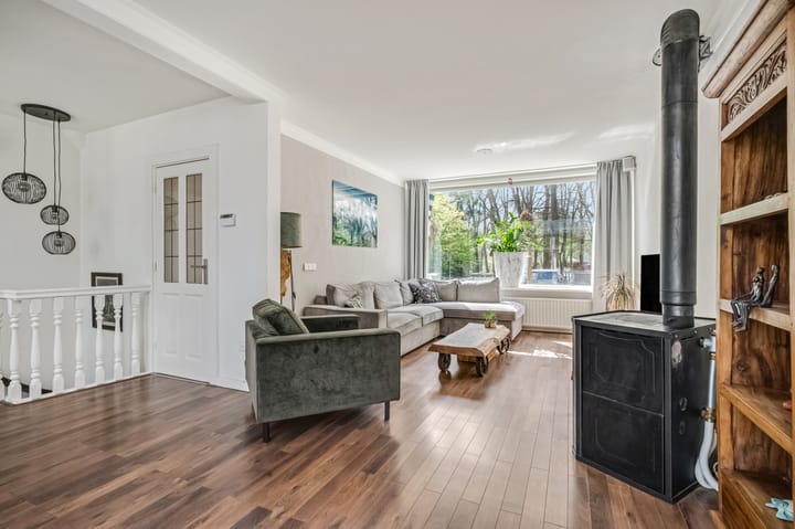 Foto 3 van Buurtscheuterlaan 19