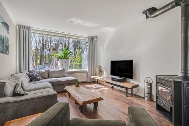 Foto 4 van Buurtscheuterlaan 19