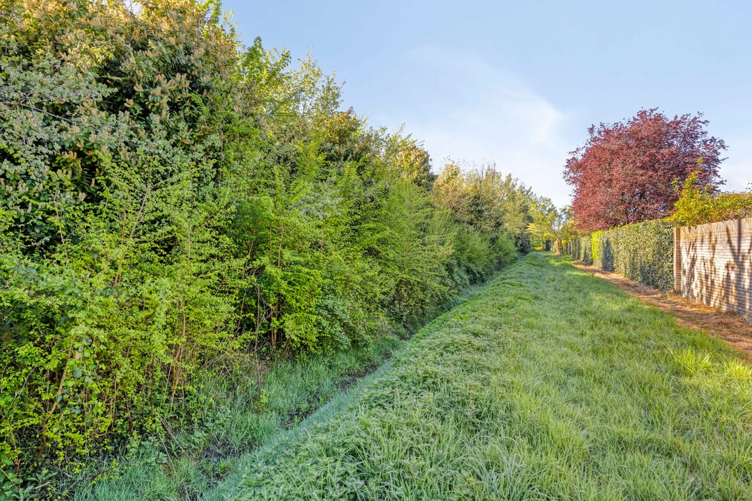 Foto 46 van Ericastraat 32