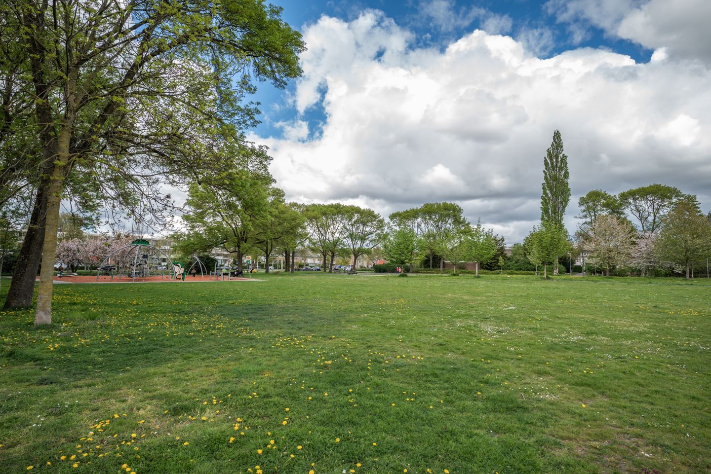 Foto 44 van Spinbollaan 69