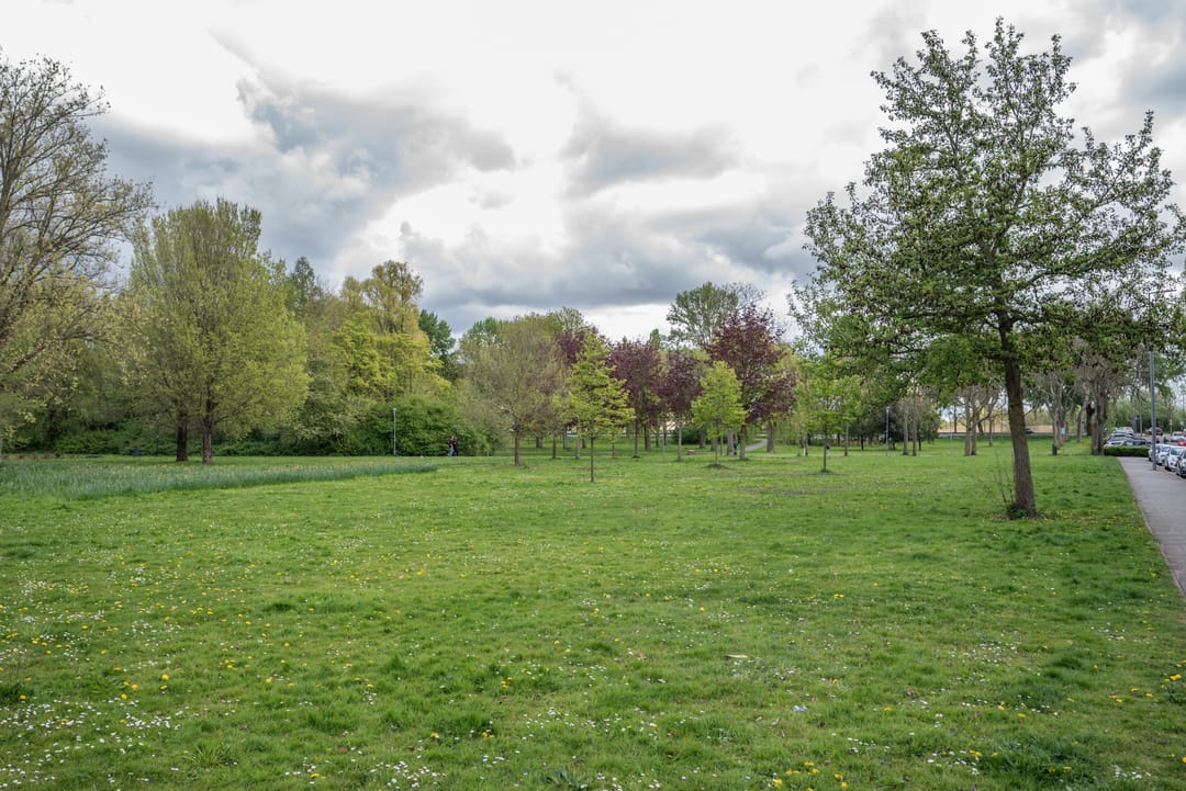 Foto 43 van Spinbollaan 69