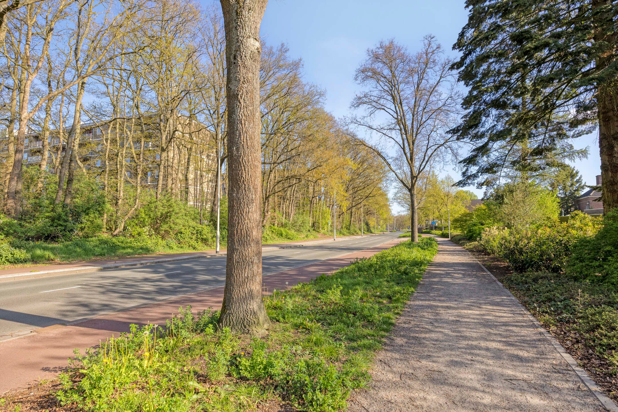 Foto 48 van Ericastraat 32