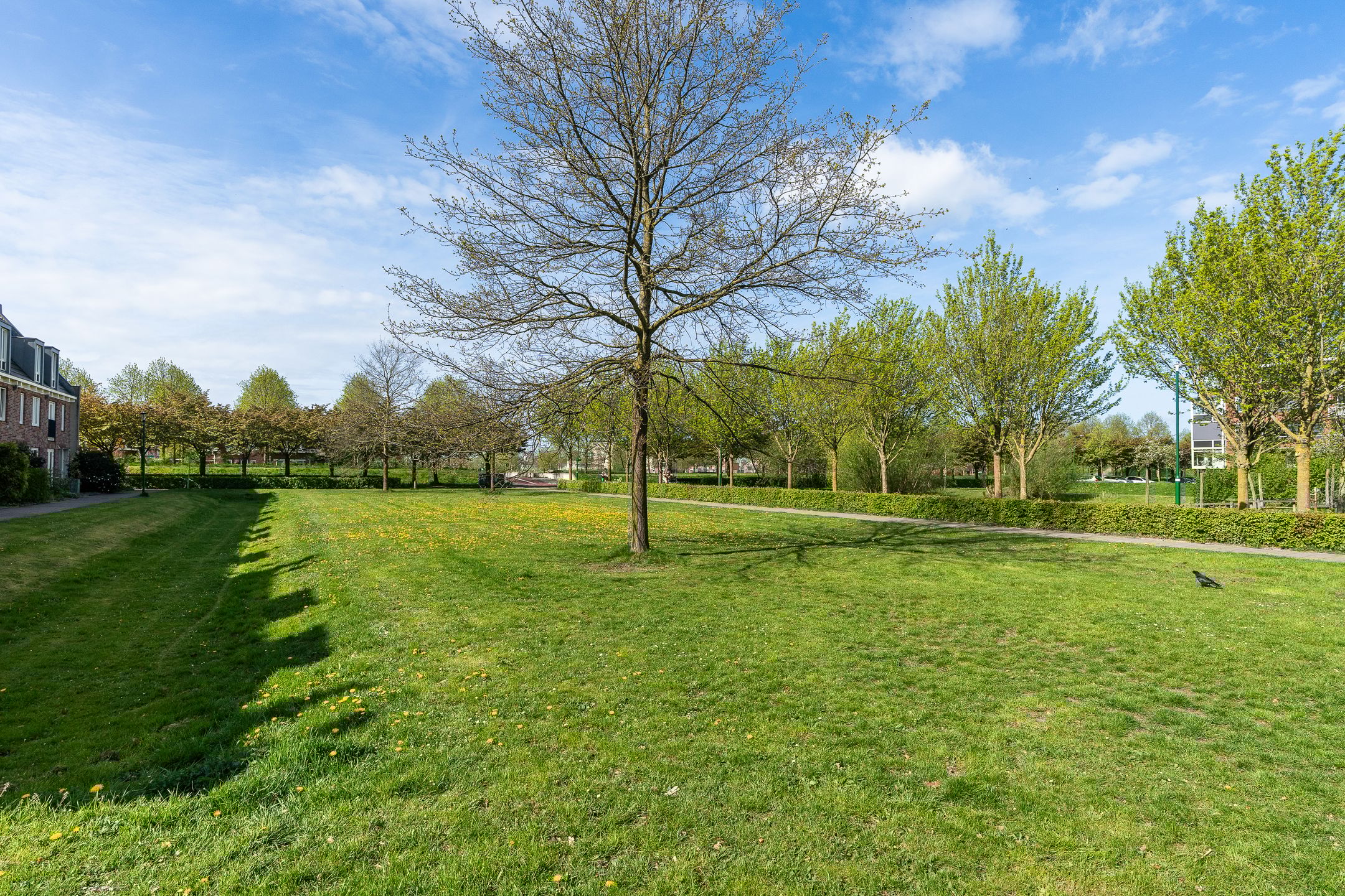 Photo 30 of Boogmuur 103