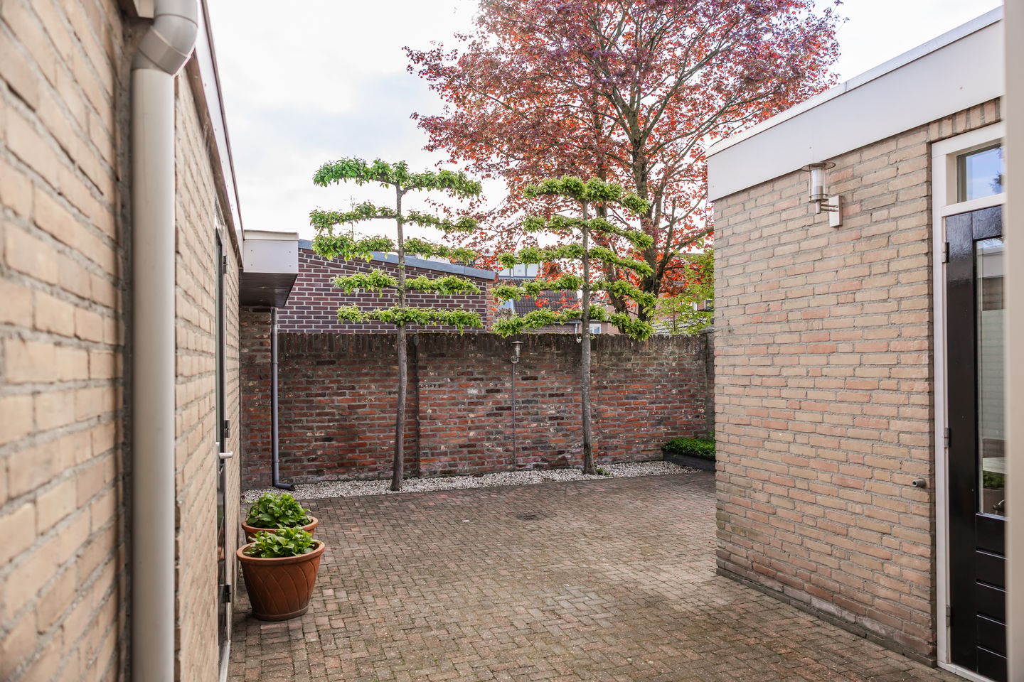 Foto 34 van het Eensel 9