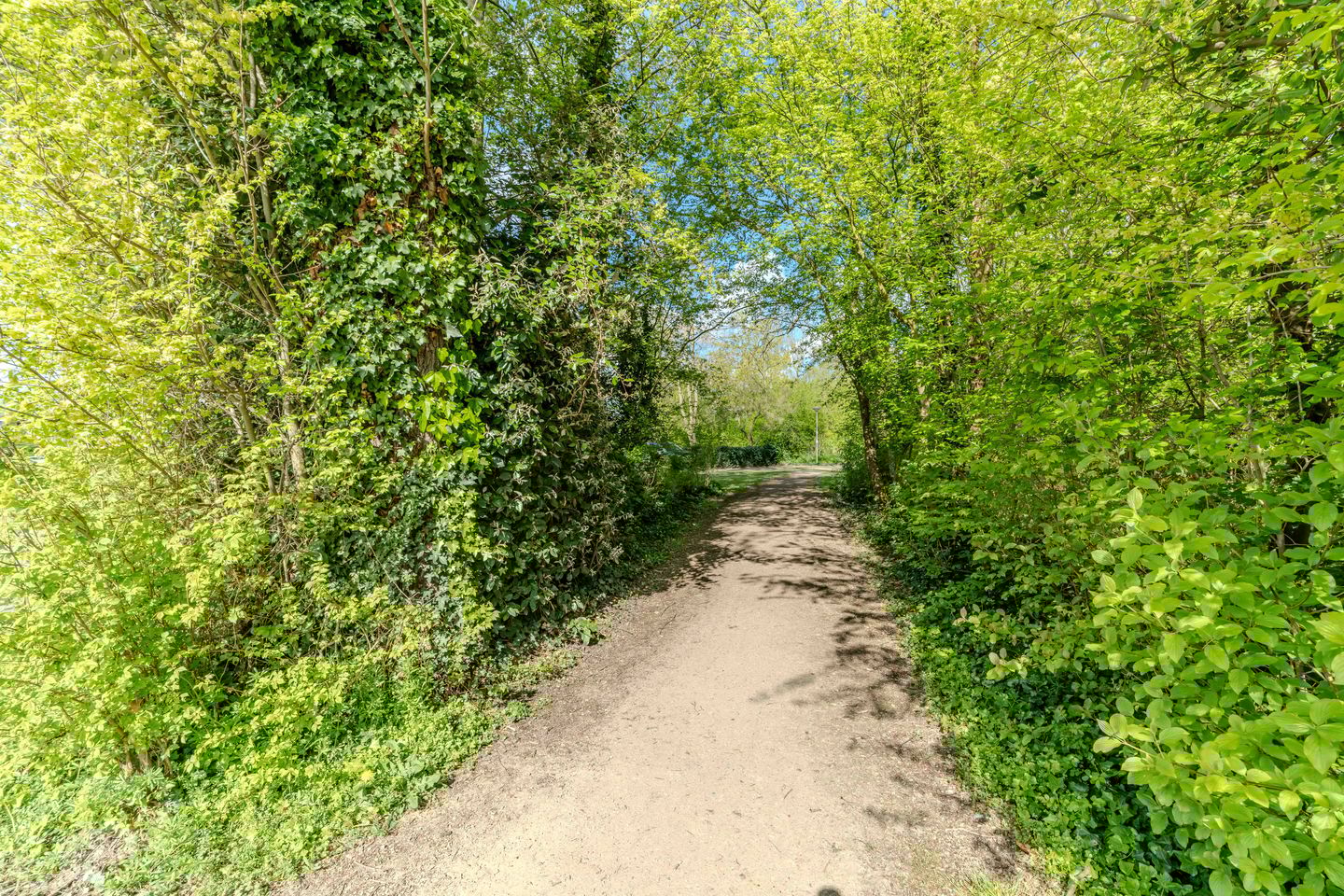 Foto 40 van Wilhelminalaan 5