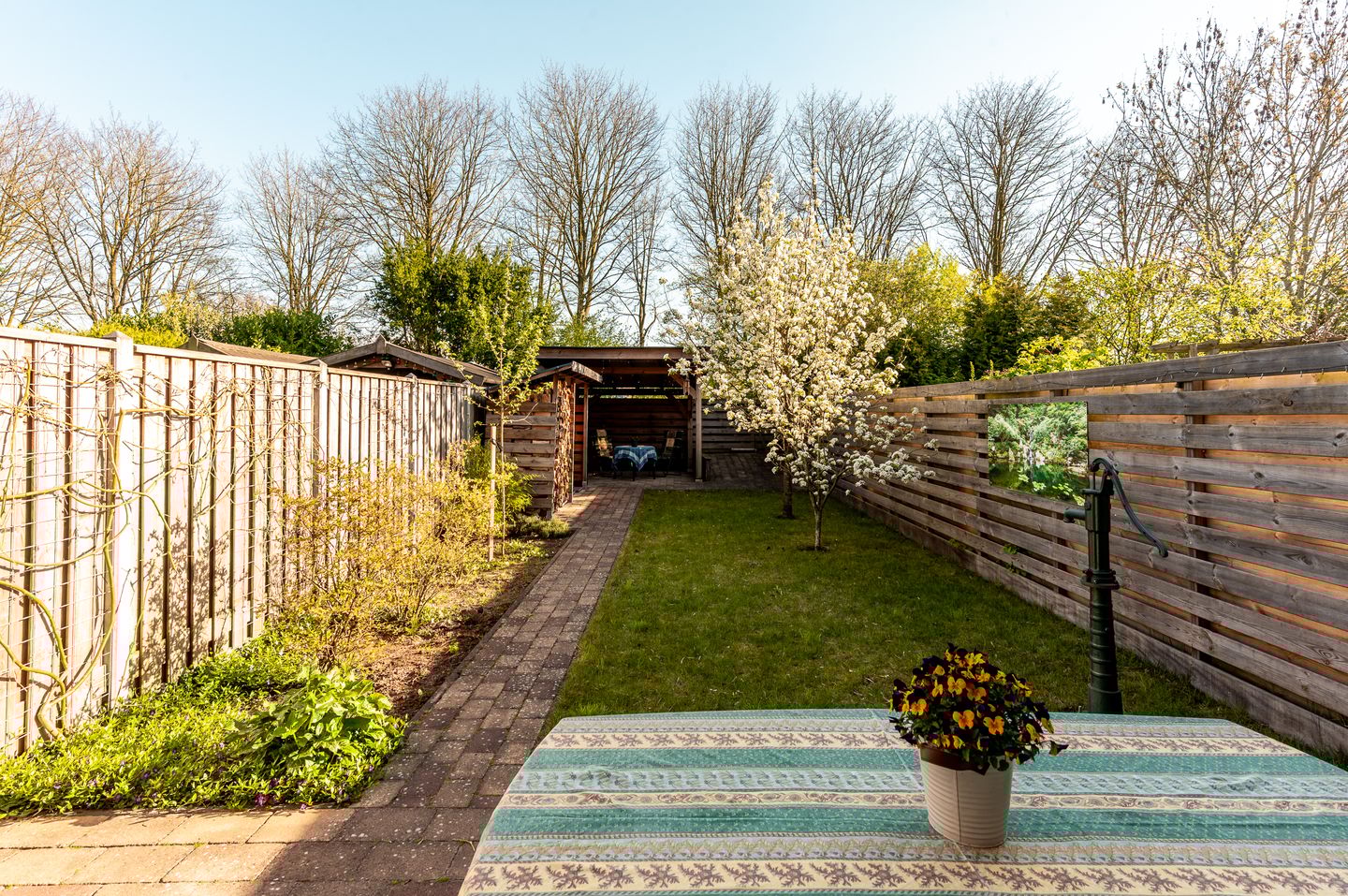 Foto 35 van Karveel 45 32