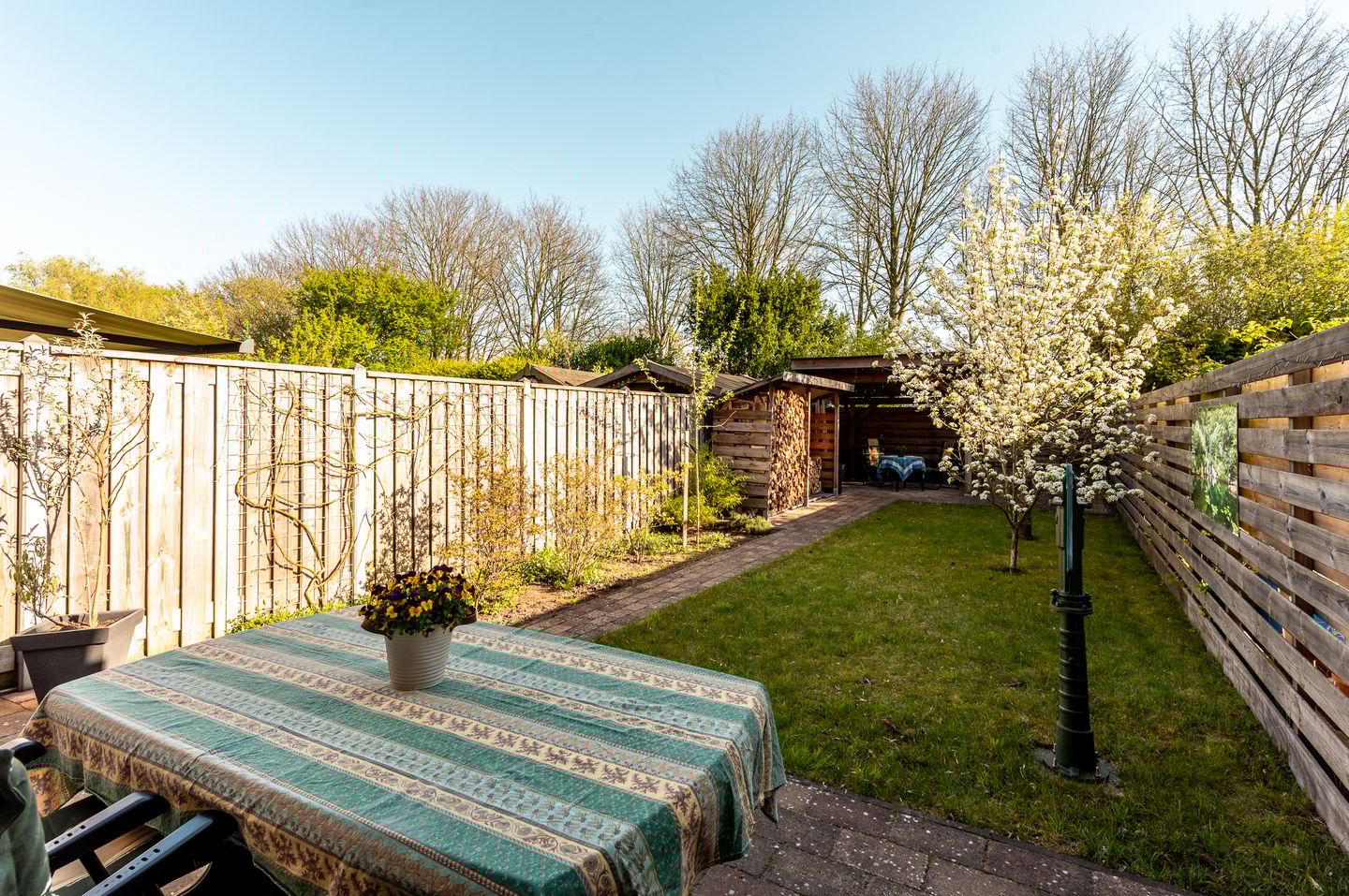 Foto 34 van Karveel 45 32