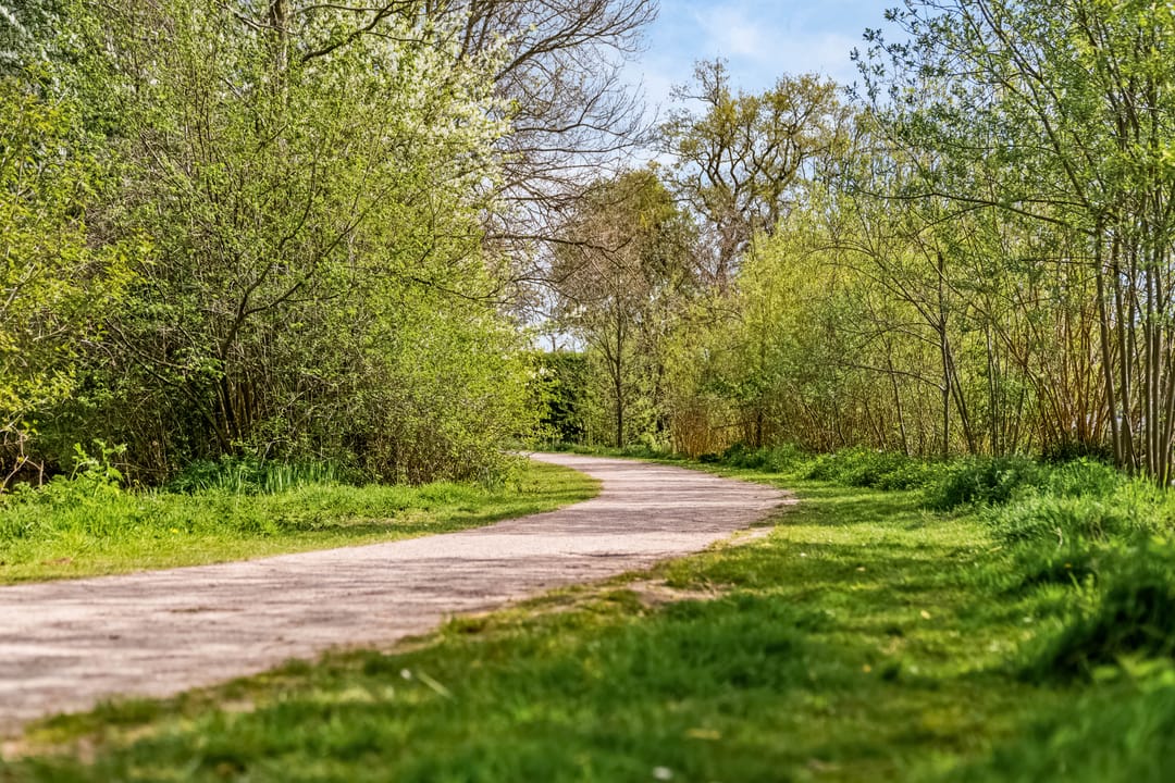 Photo 31 of Wildenborg 70