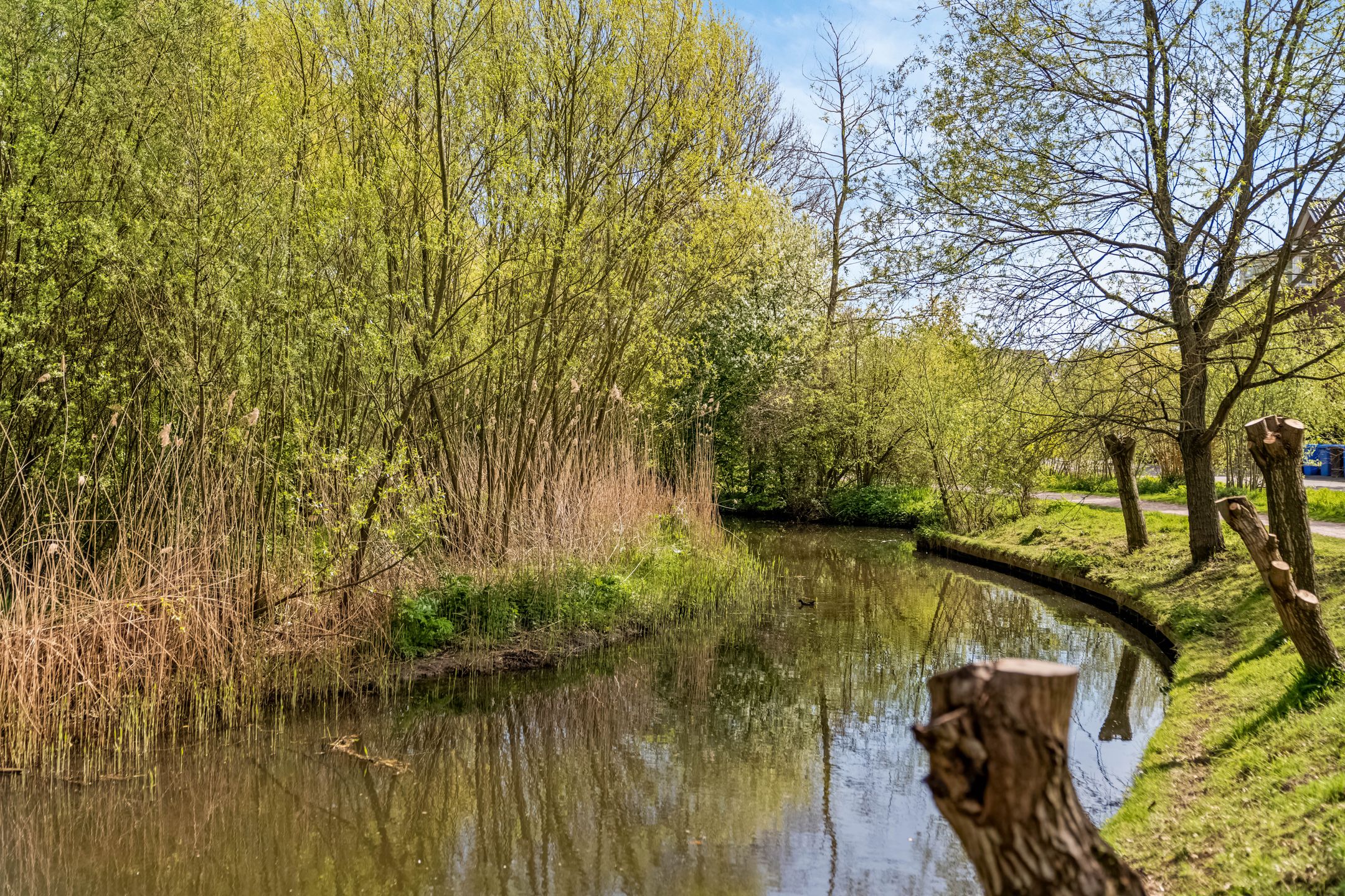 Photo 30 of Wildenborg 70