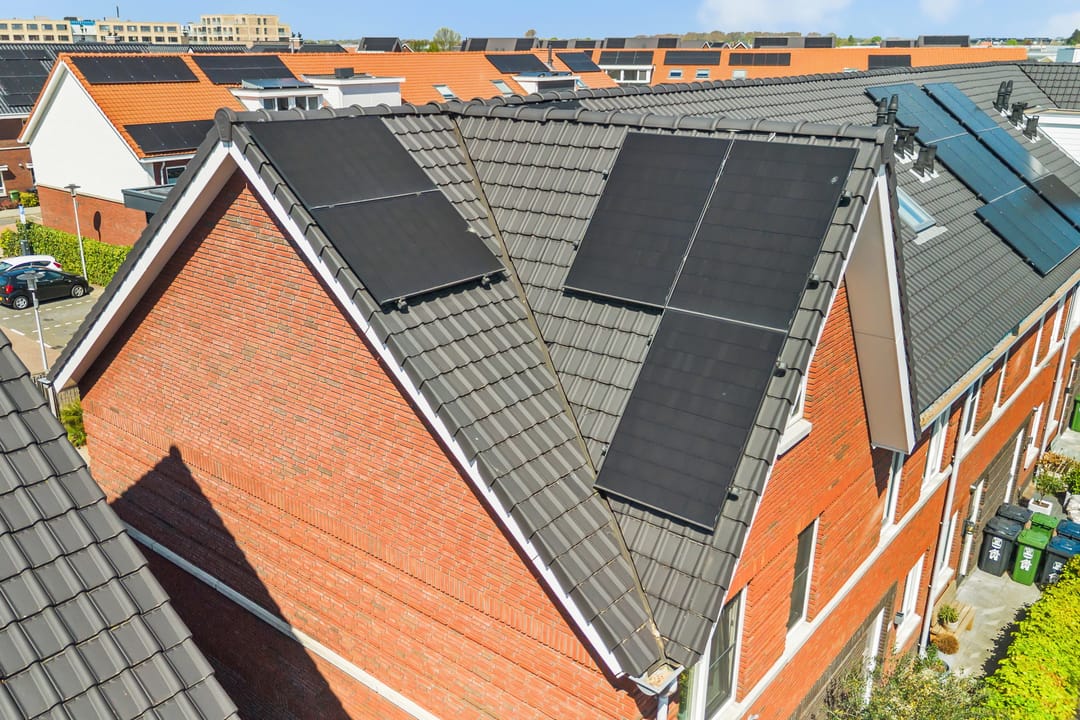 Foto 41 van Vuurvlinder 23