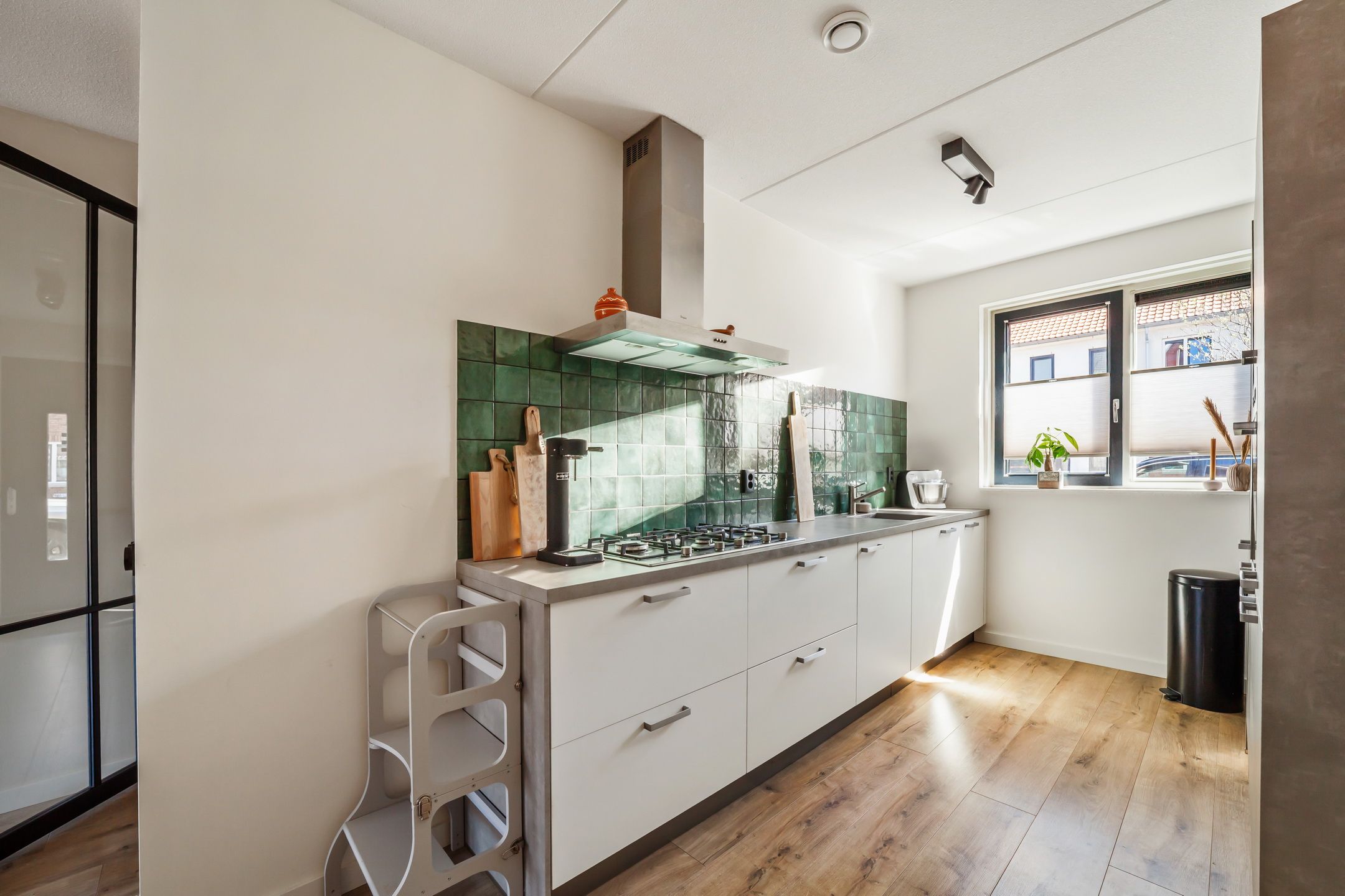 Foto 12 van Vuurvlinder 23