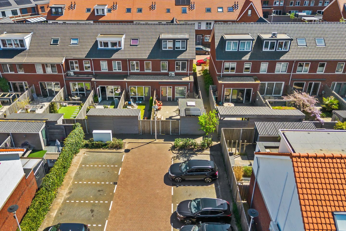 Foto 40 van Vuurvlinder 23