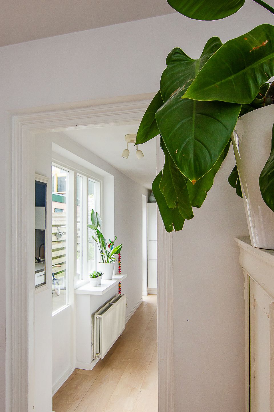 Foto 18 van Generaal De Wetstraat 57