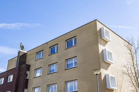 Pieter Bieremastraat 27 tertiary image