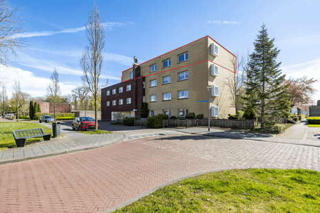 Pieter Bieremastraat thumbnail