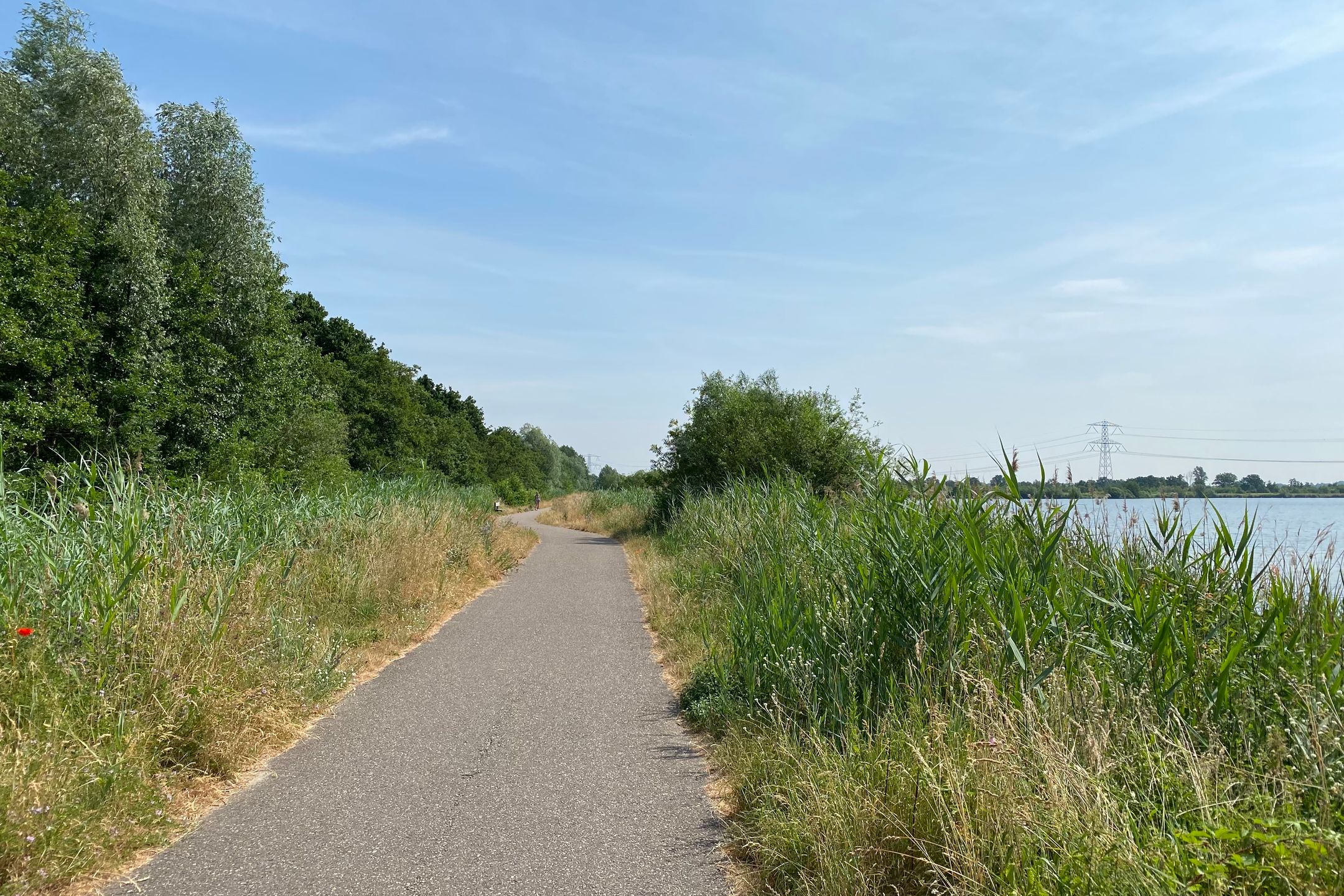 Photo 39 of Veluwemeer 166