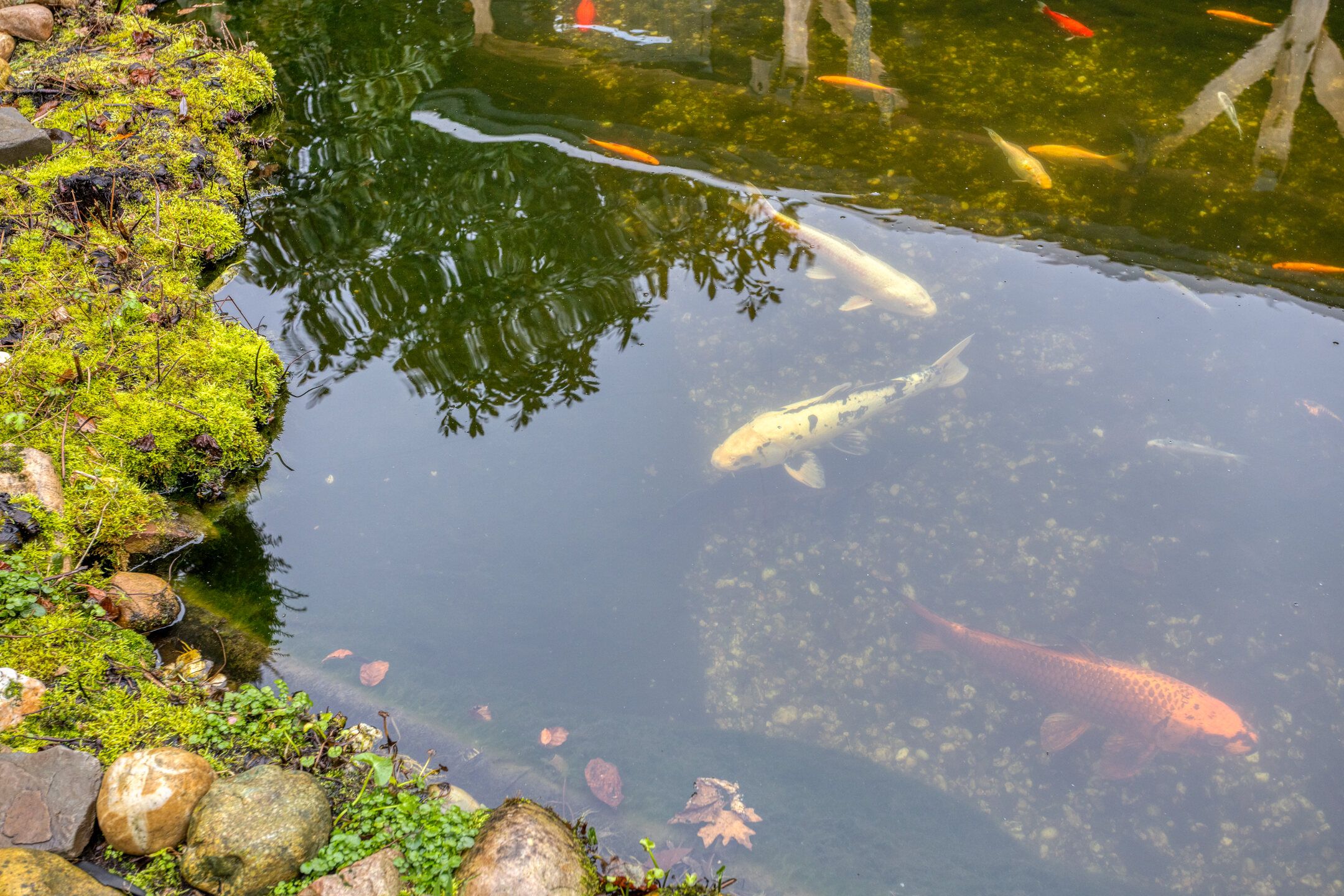 Foto 24 van Wederik 16