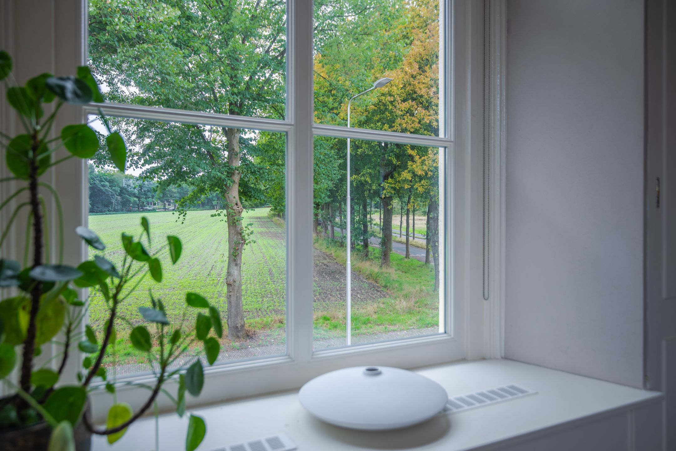 Foto 21 van Veerweg 2